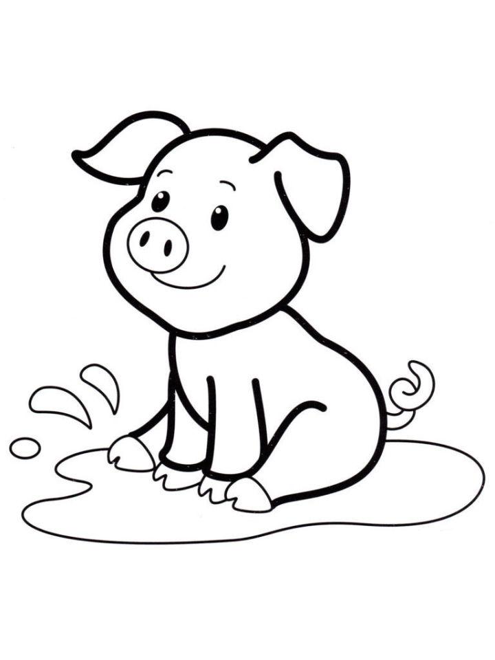 Printable Baby Pig Coloring Pages