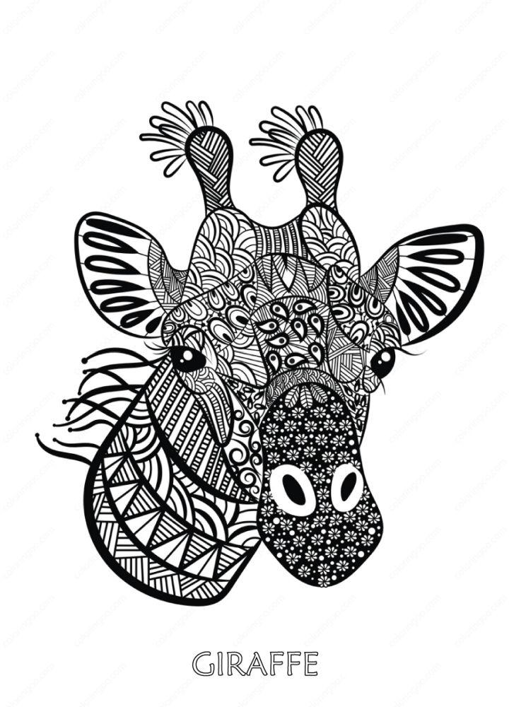 Printable Giraffe Mandala Coloring Page