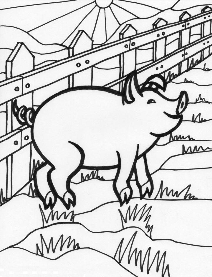Printable Pig Coloring Pages for Kids