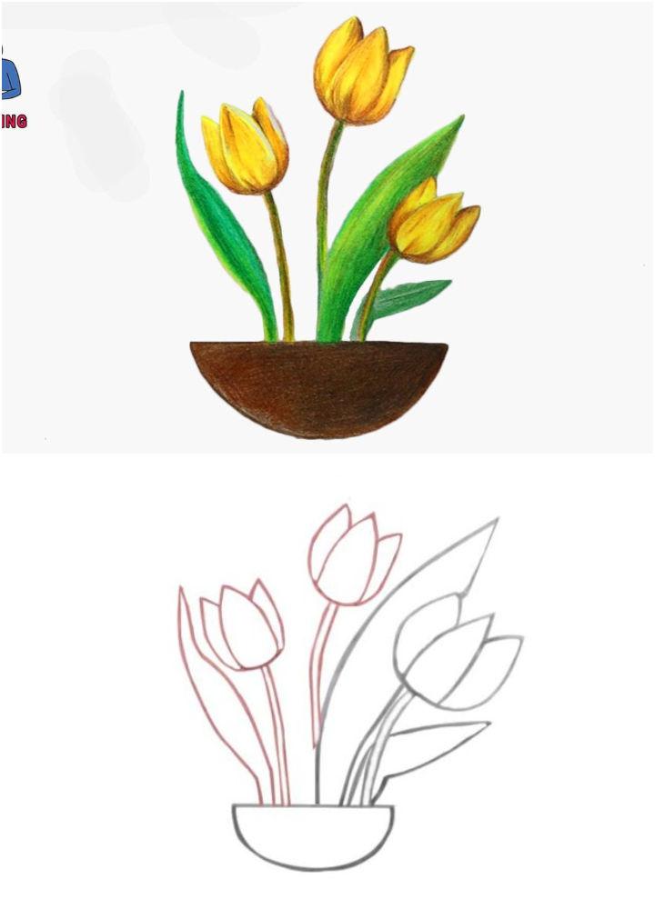 Quickly Tulip Flowers Drawing
