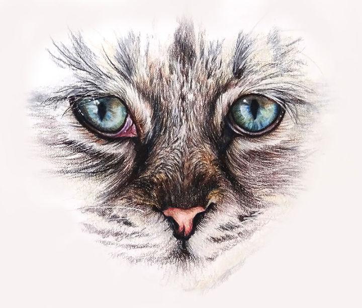 Realistic Cat Eye Drawing