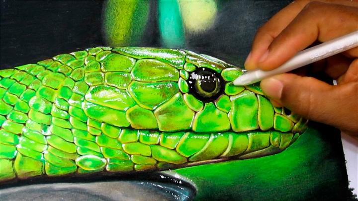 Realistic Cool Snake Drawing