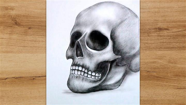 Realistic Skull Drawing For Beginners