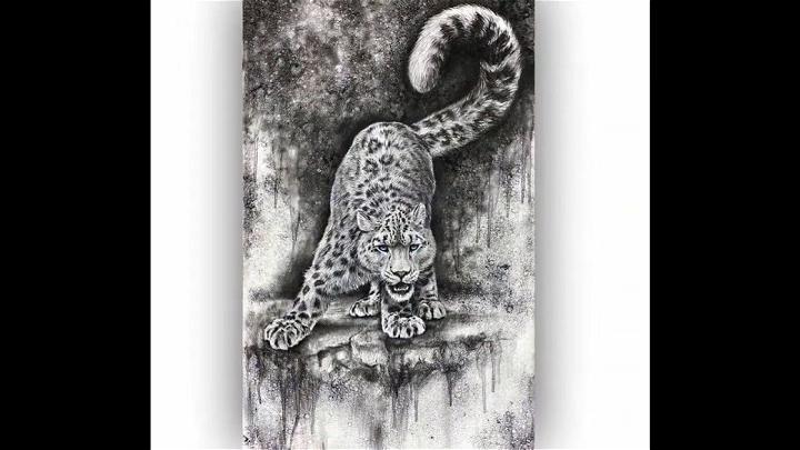 Realistic Snow Leopard Drawing in Charcoal