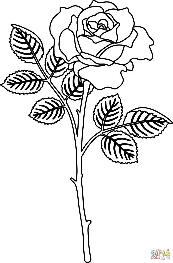 20 Free Rose Coloring Pages for Kids and Adults