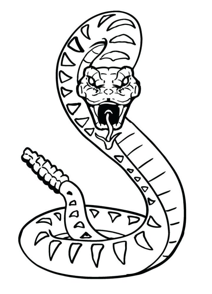 Scary Rattle Snake Coloring Page