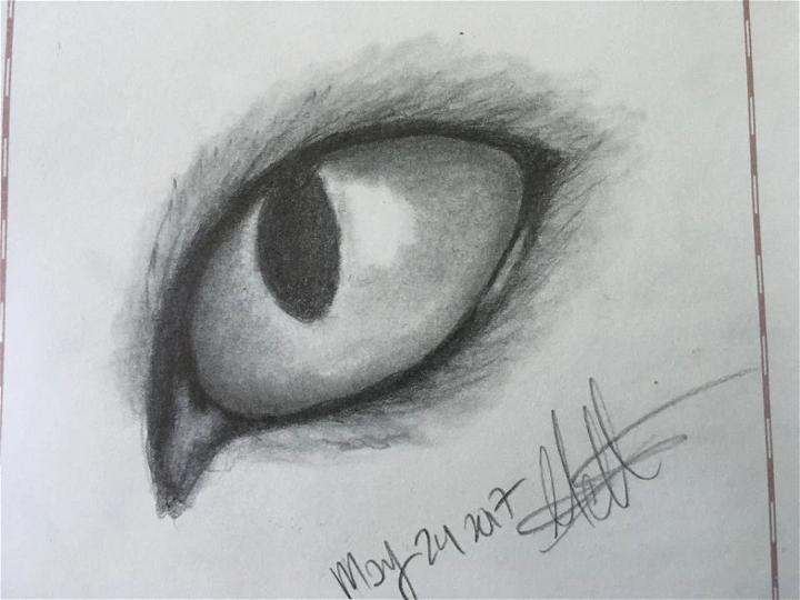 Simple Cat Eye Drawing