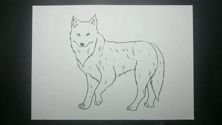 Simple Fox Outline Drawing