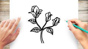 25 Magnolia Flower Drawing Ideas Draw Magnolia Flower