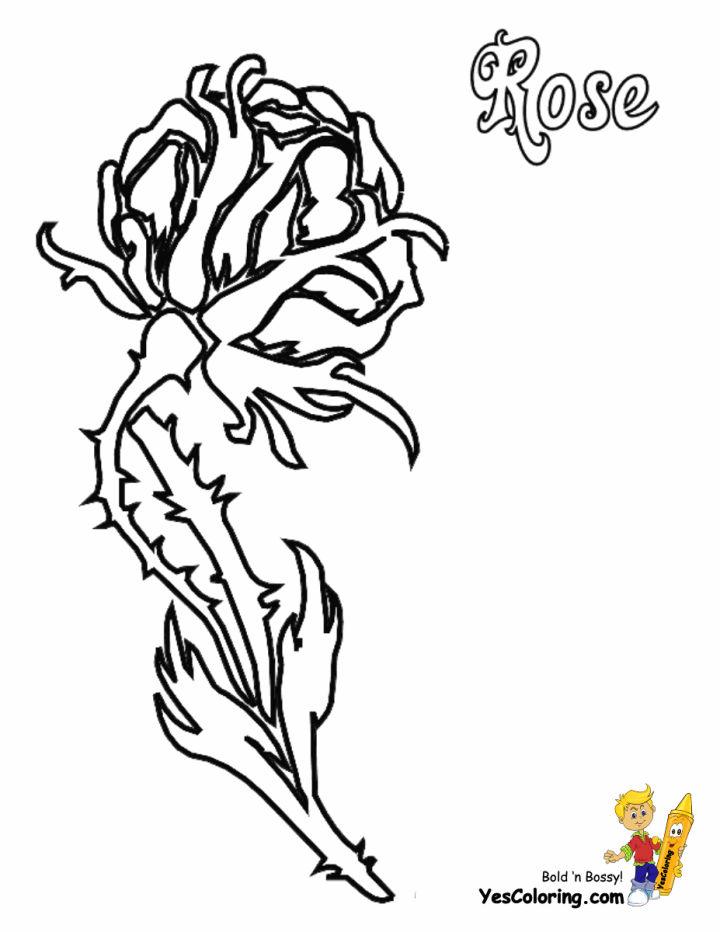 Simple Rose Coloring Pages