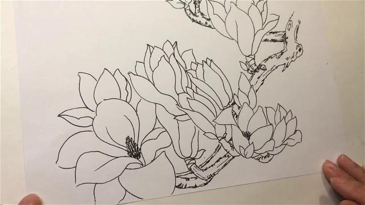 Simple and Easy Magnolia Flower Drawing