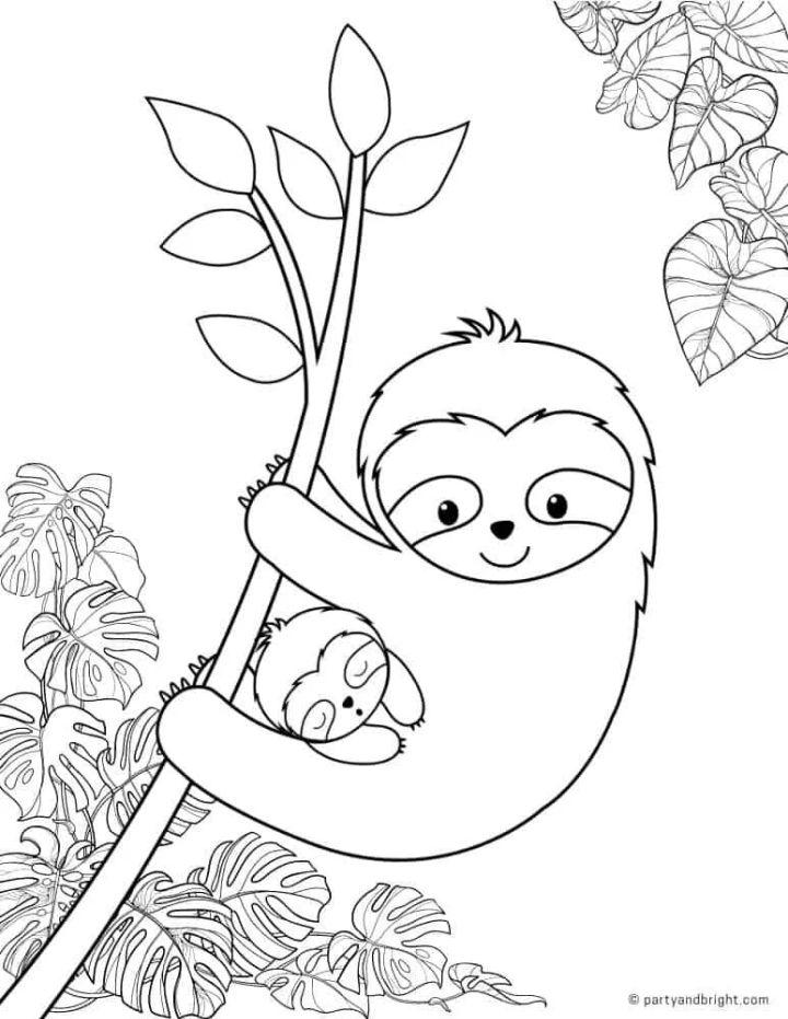 Sloth Coloring Pages and Activities