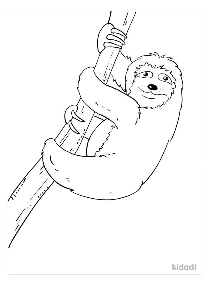 Sloth Pictures to Color