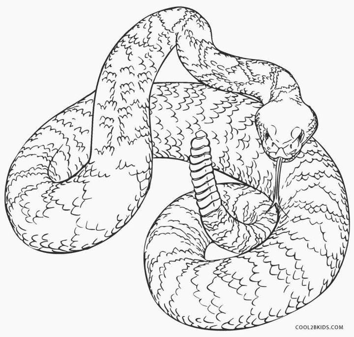 Snake Coloring Book Pages