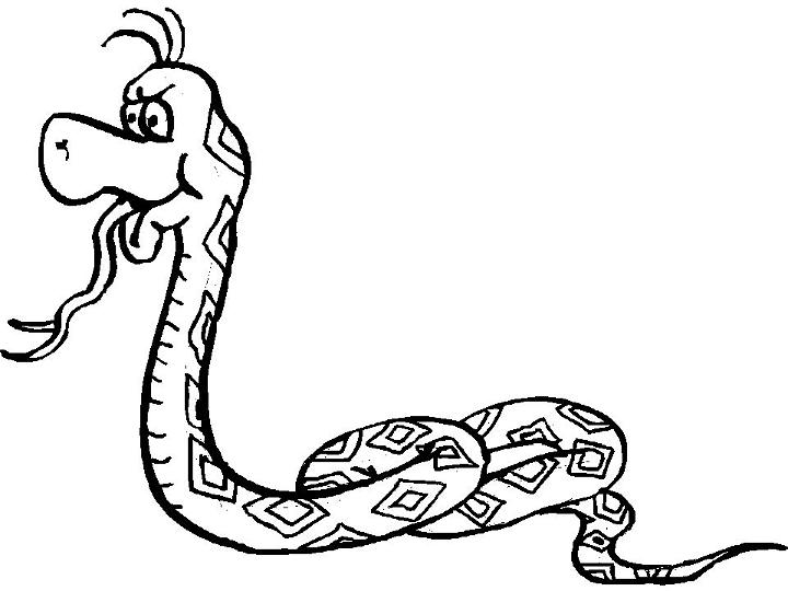 Snake Coloring Pages for Toddlers