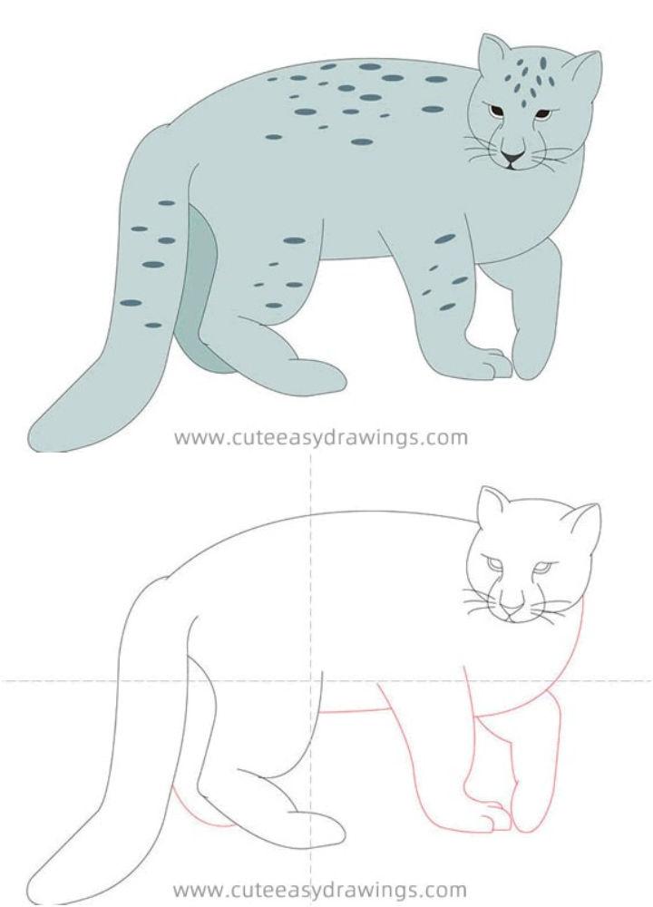 Snow Leopard Drawing for Preschoolers