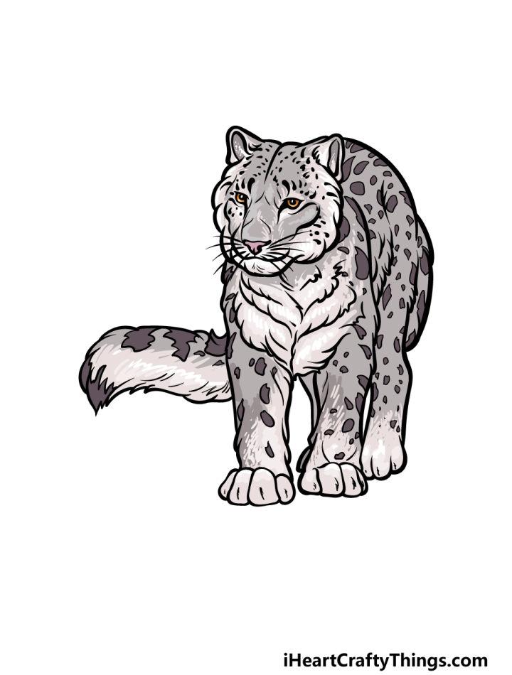 Snow Leopard Drawing in Just Easy Steps