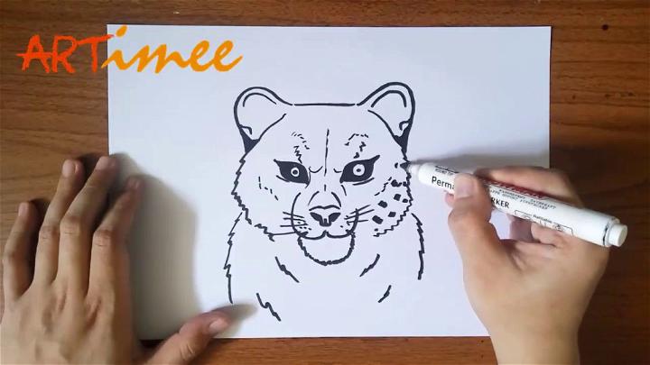 Snow Leopard Face Drawing