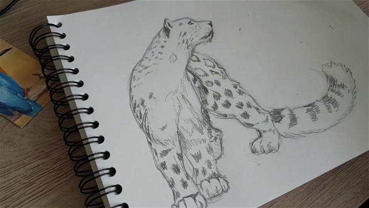 Speed Drawing Snow Leopard
