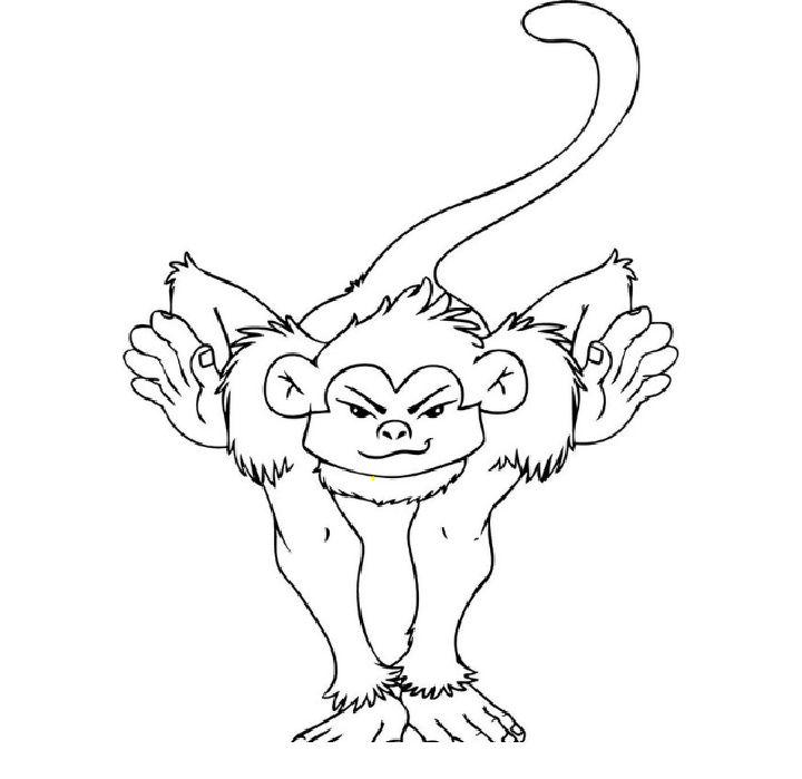 Spider Monkey Pictures to Color