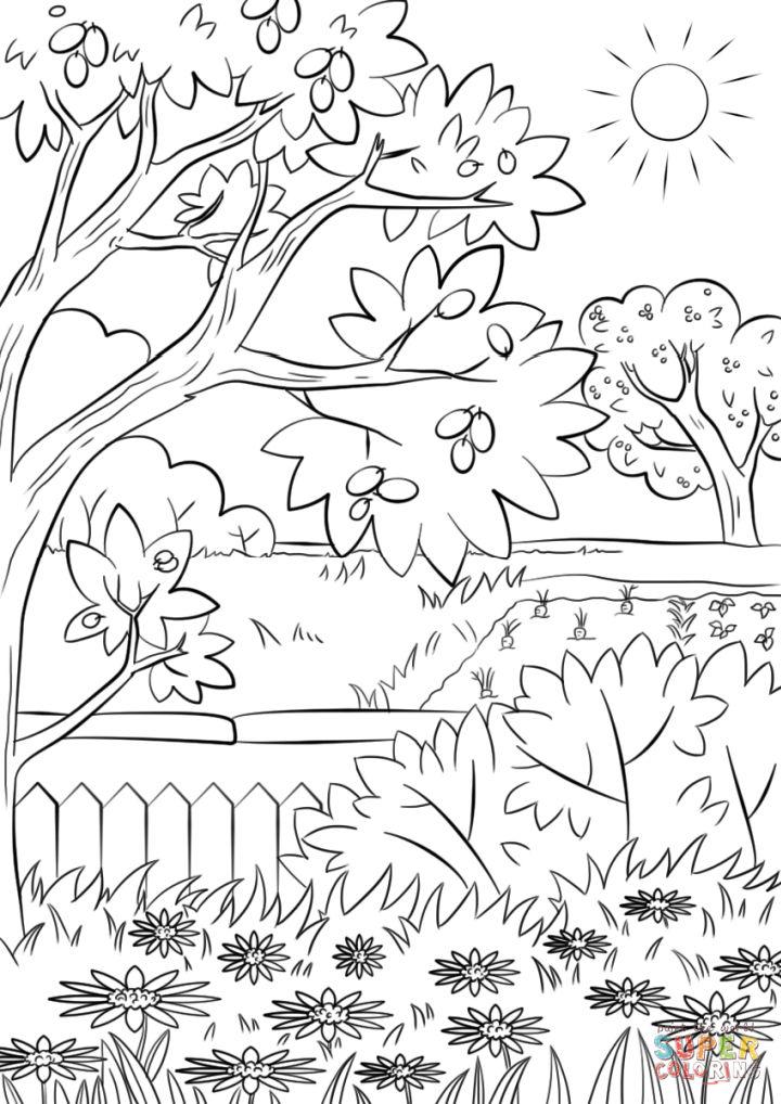 Summer Garden Coloring Pages and Activities