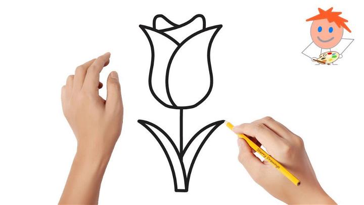 Tulip Line Drawing