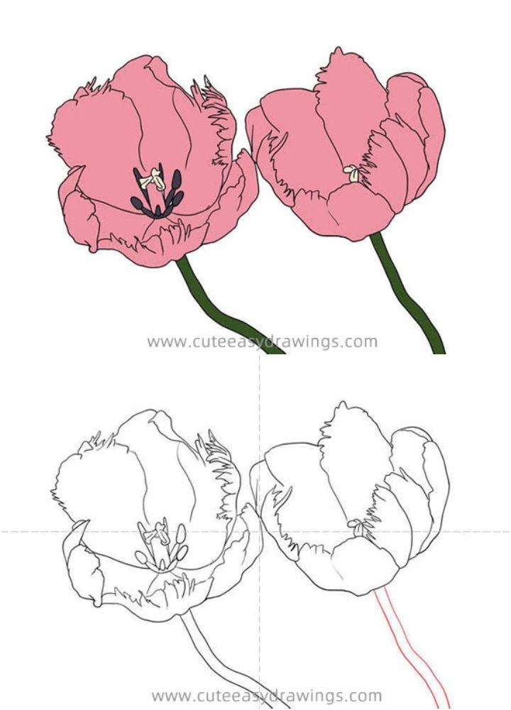Tulips Drawing for Elementary School Students