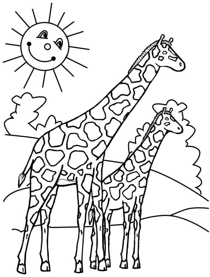 Two Giraffes on a Walk Coloring Pages