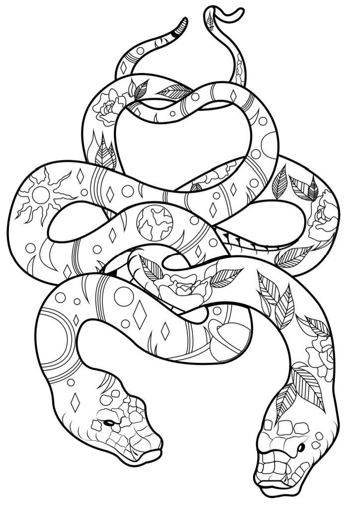 Two Snakes Coloring Page and Activities