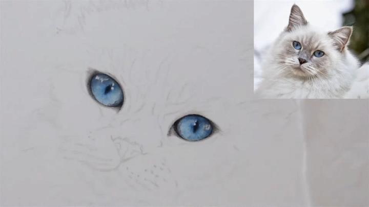 White Cat Eye Drawing Using Coloured Pencils