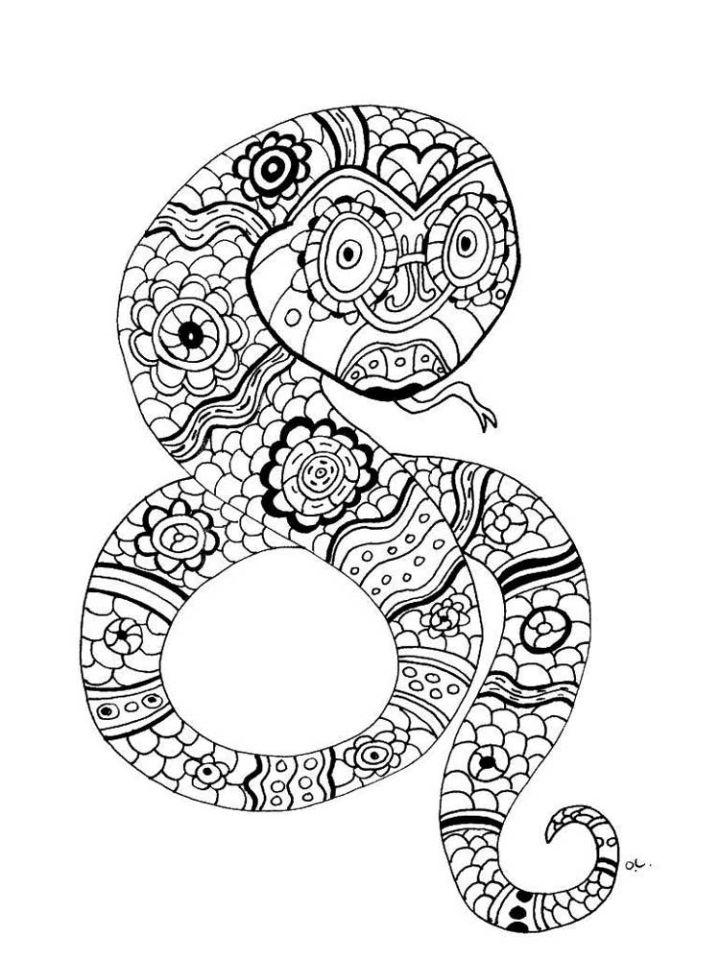 Zentangle Snake Coloring Pages for Adults