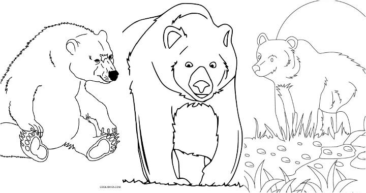 easy and free bear coloring pages