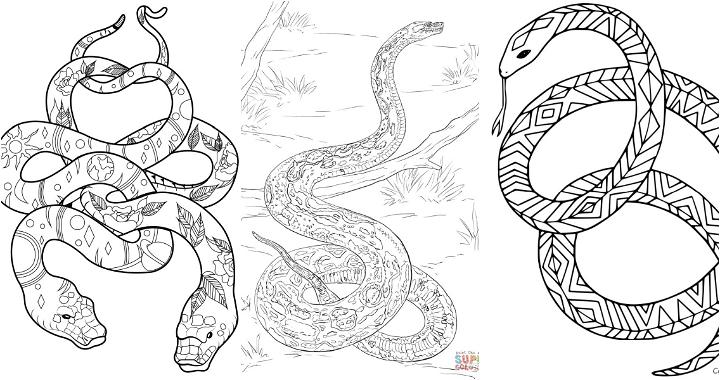 easy and free snake coloring pages