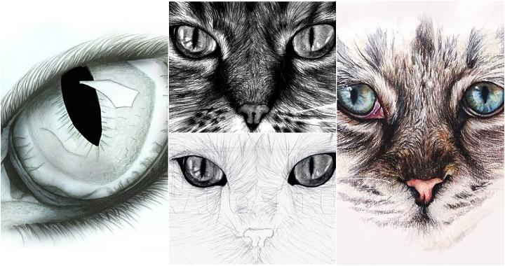 25 Easy Cat Eye Drawing Ideas - How to Draw a Cat Eye