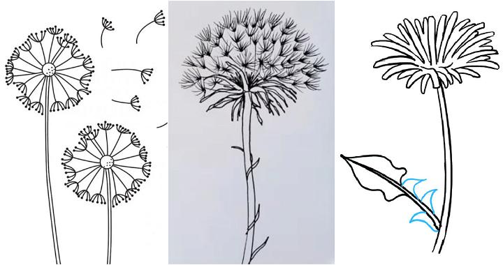20 Easy Dandelion Drawing Ideas - How to Draw a Dandelion