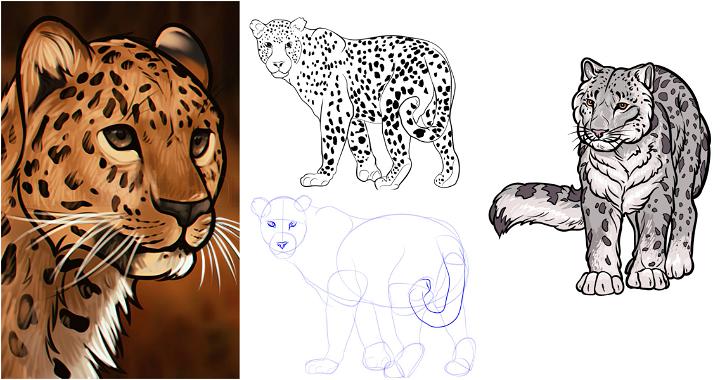 Leopard Drawing Step By Step