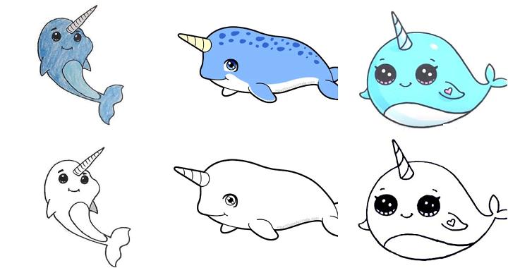 25 Easy Narwhal Drawing Ideas - How to Draw a Narwhal