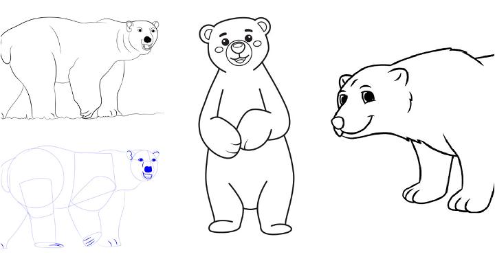 25 Easy Polar Bear Drawing Ideas - How to Draw a Polar Bear