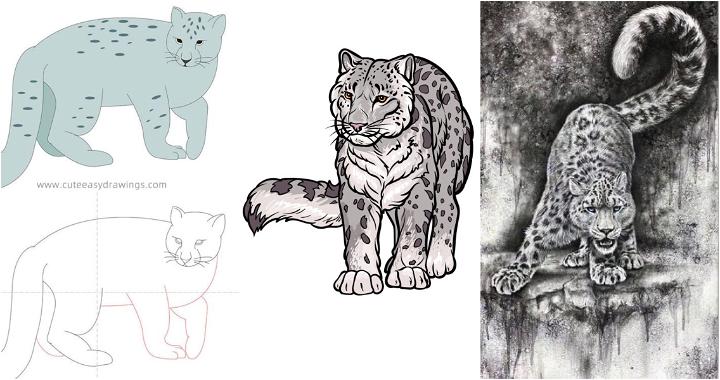 25 Easy Snow Leopard Drawing Ideas - How to Draw a Snow Leopard