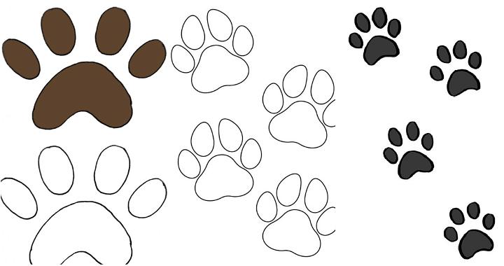 How to Draw Cat Paw Prints