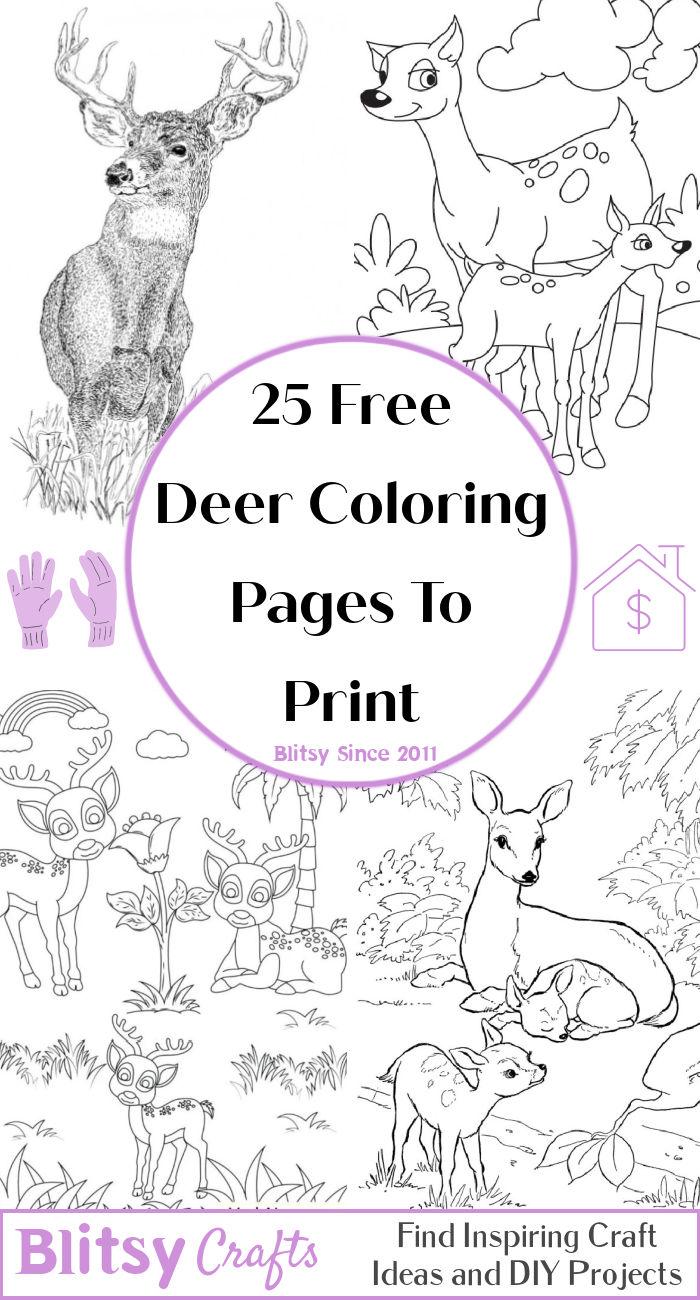 Free Deer Coloring Pages To Print