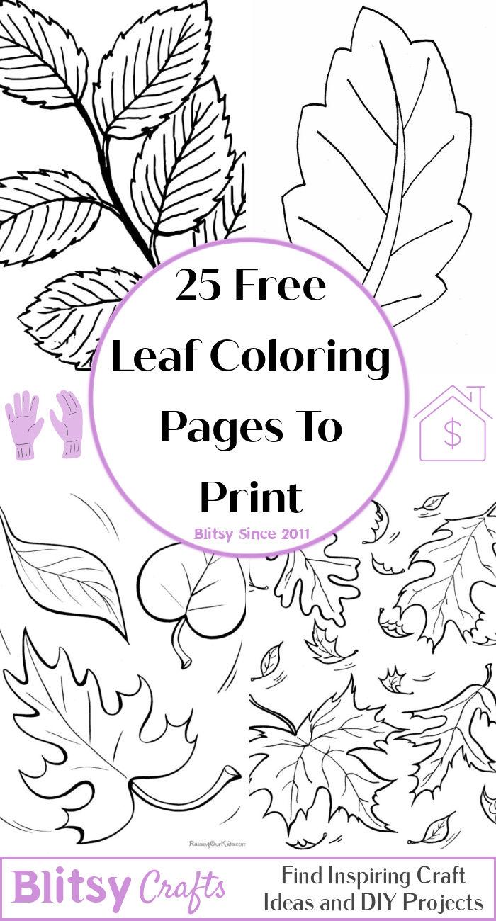 25 Easy and Free Leaf Coloring Pages for Kids and Adults - Cute Leaf Coloring Pictures and Sheets Printable