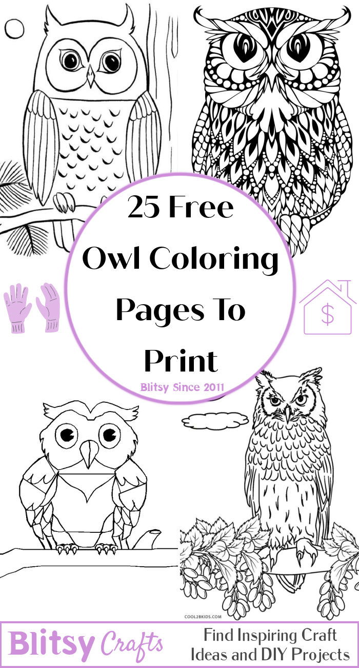Free Printable Owl Coloring Pages Free Printable Owl Coloring Pages
