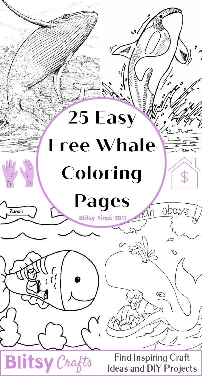 25 Easy and Free Whale Coloring Pages for Kids and Adults - Cute Whale Coloring Pictures and Sheets Printable