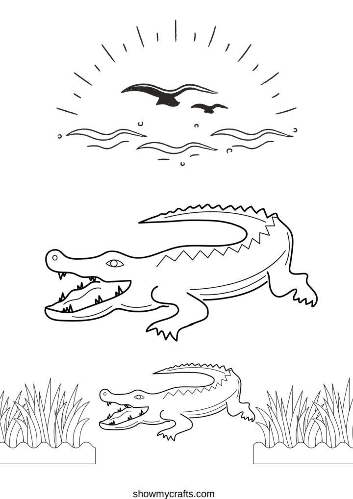 Alligator Coloring Pages Tracer Pages and Posters