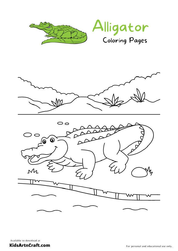 Alligator Coloring Pages and Activities