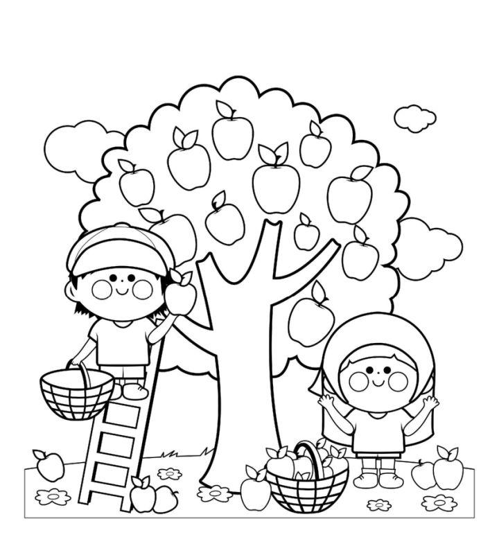 Apple Coloring Pages PDF
