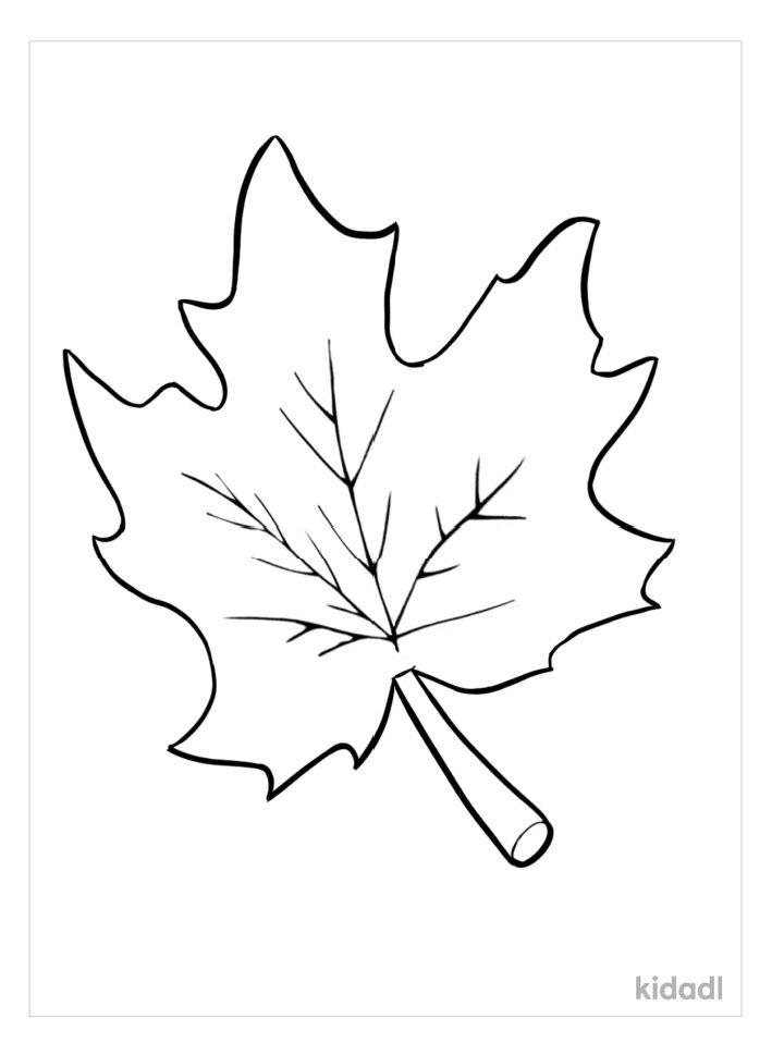 Autumn Leaf Coloring Pages