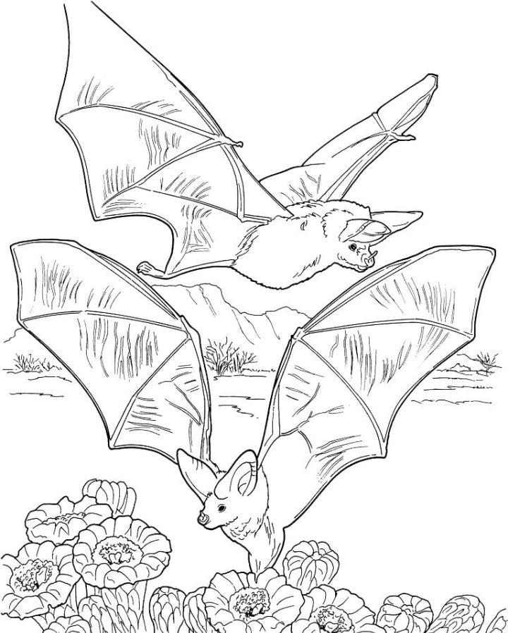 Bats Gathering Nectar Coloring Page