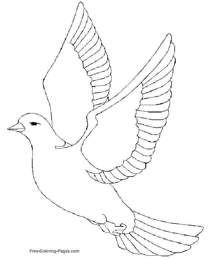 Bird Coloring Pages and Printables